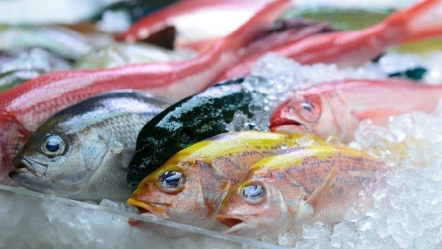 Tanzania earned US$800m from fish production in the fiscal year 2019/2020