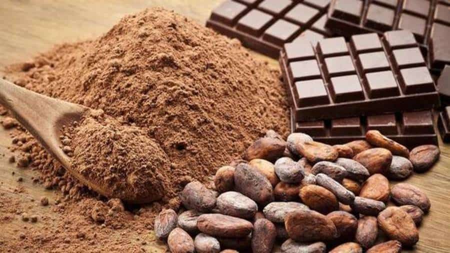 Ivory Coast to construct two new cocoa processing factories with US$389m