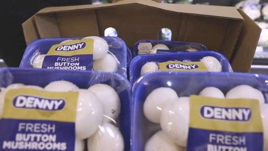 Denny Mushrooms launches eco-friendly punnets made from sugarcane by-product