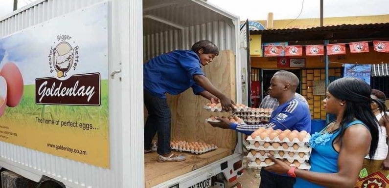 UK-based AgDevCo invests in Zambia’s leading eggs supplier Goldenlay