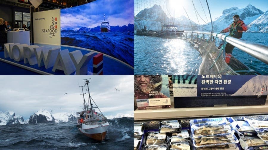 Norwegian seafood exports top US$12.2bn as aquaculture dominates sector by value