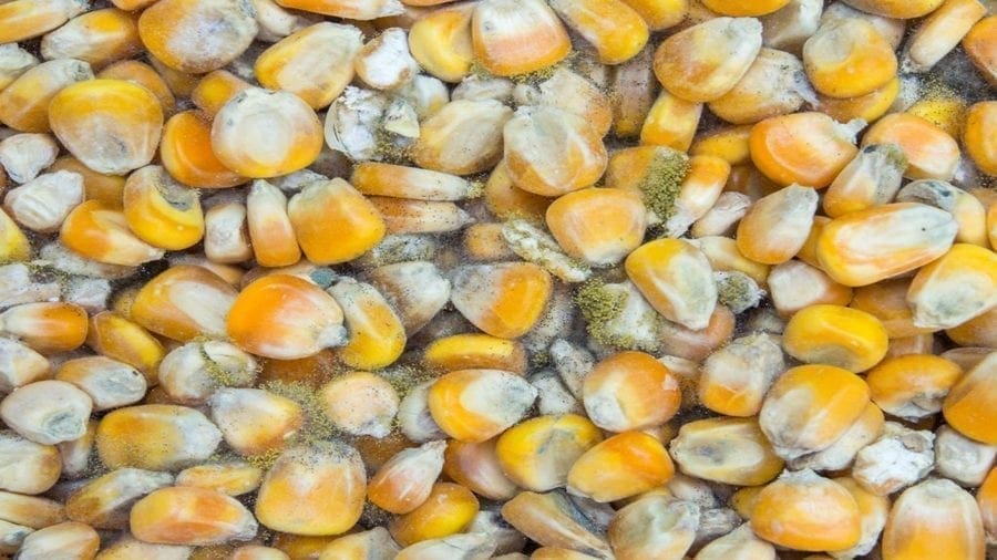 EAC seeks funding from US for establishment of aflatoxin legal frame work