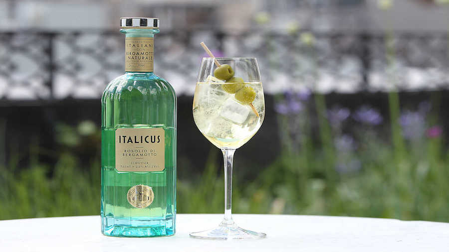 Pernod Ricard expands portfolio with Italian bergamot-infused aperitivo