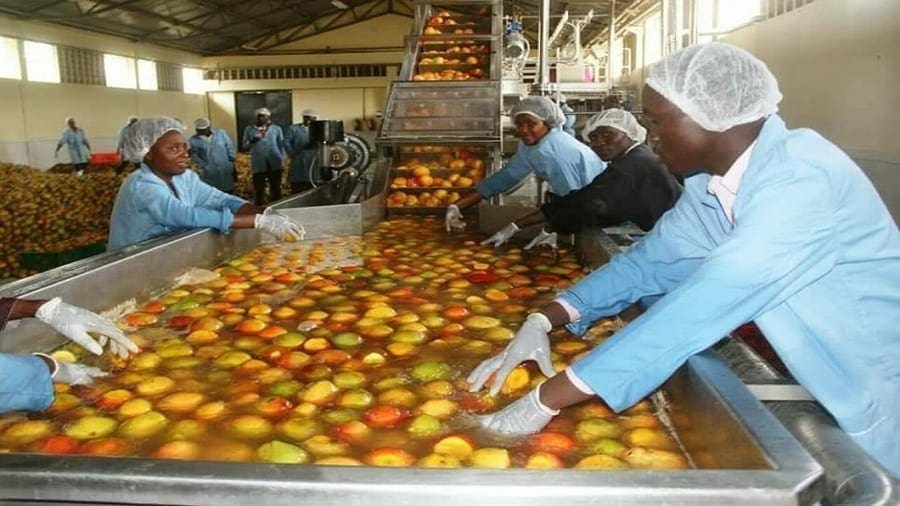 Kenyan county government sets up ready to drink juice processing plant