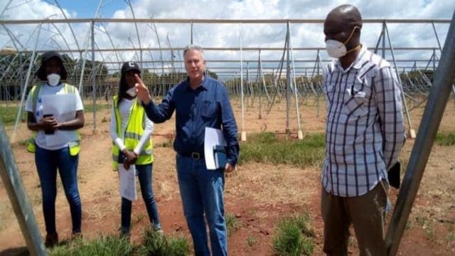 Malawi partners global investment firm to develop SADC’s largest greenhouse facility