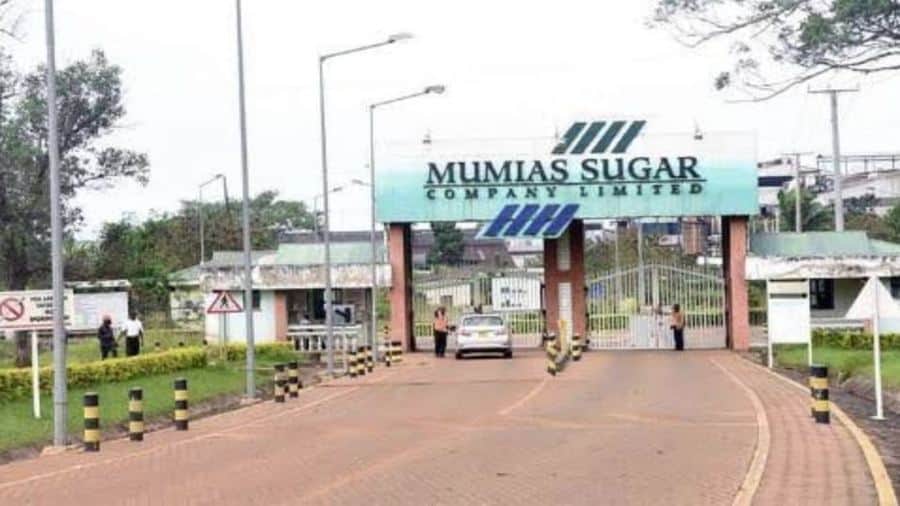 Kenyan govt offers lifeline to Mumias Sugar by waiving US$103.4m owed to revenue authority