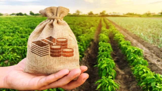 Export Trading Group secures US$400m from Afreximbank to drive agricultural productivity in Africa