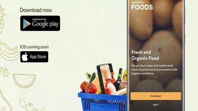 Nigerian agri-tech startup, Farmcrowdy launches e-commerce fresh farm produce buying platform