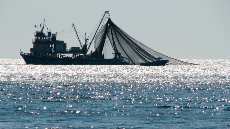 Namibia auctions fishing quotas to raise funds to curb COVID-19 pandemic