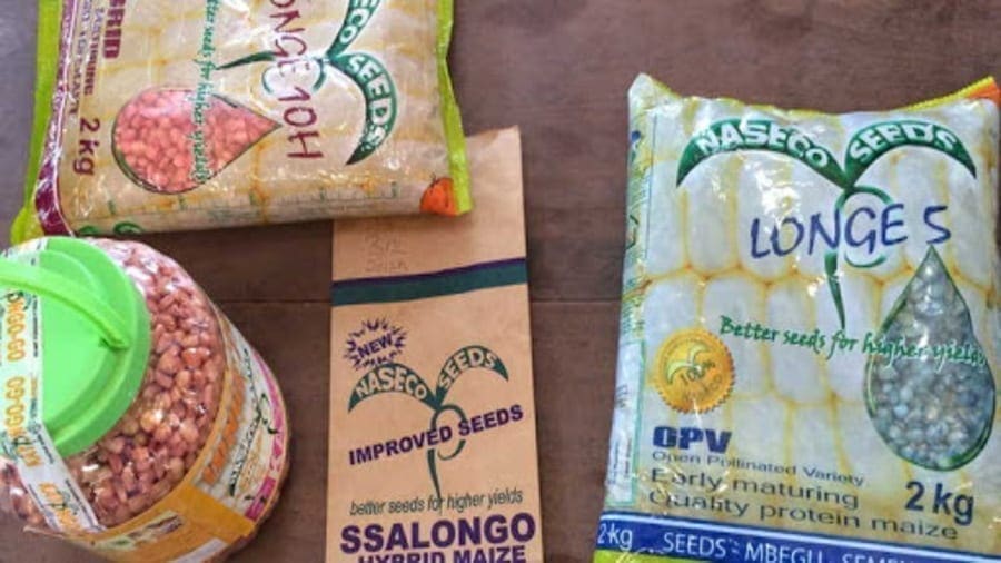 Ugandan seed producer NASECO clinches US$1.2m investment from Pearl Capital Partners