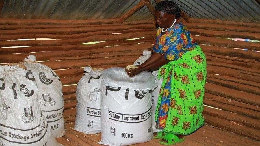 AgDevCo invests in Tanzania based grain storage bag maker to expand operations