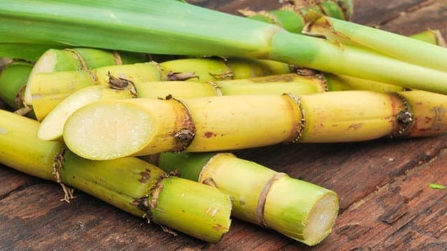 Tongaat Hullet subsidiary Hippo Valley seeks alternative funding for the US$40m sugar cane project