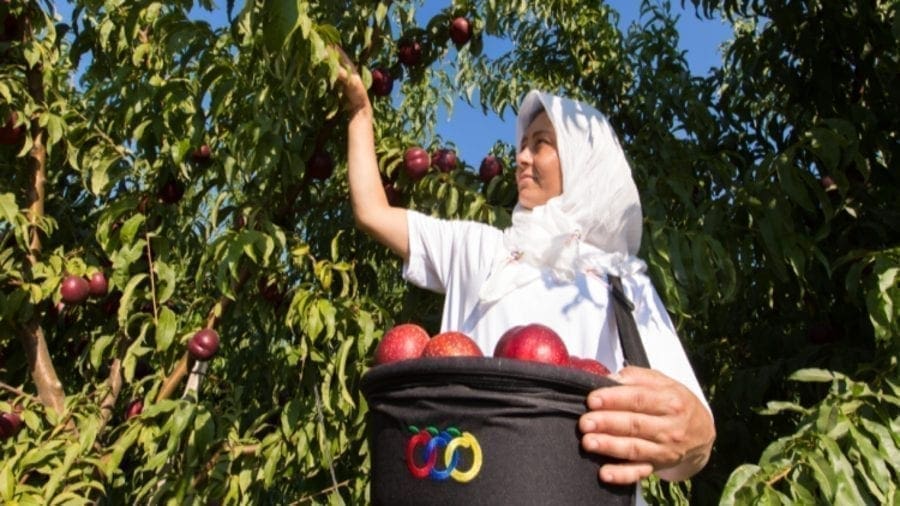 Turkish fruit producer Anadolu Etap secures US$67m to fuel growth