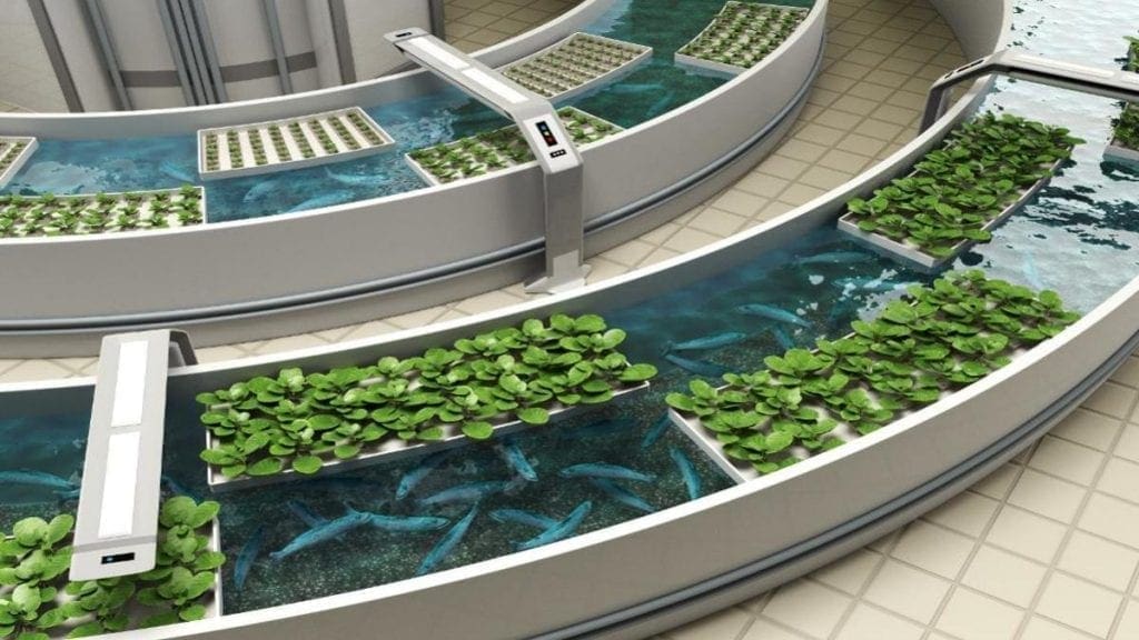 Kenyan government to upgrade aquaculture center with US$1.8m