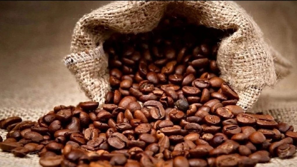 Uganda exports US$53.52m worth of coffee in March, highest amount since beginning of 2021