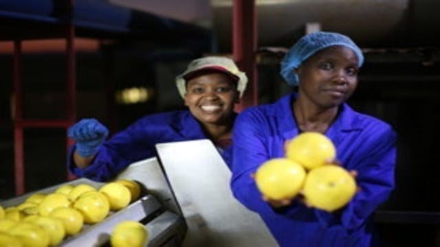 Symrise undertakes technological advancement in South African grapefruit processing factory
