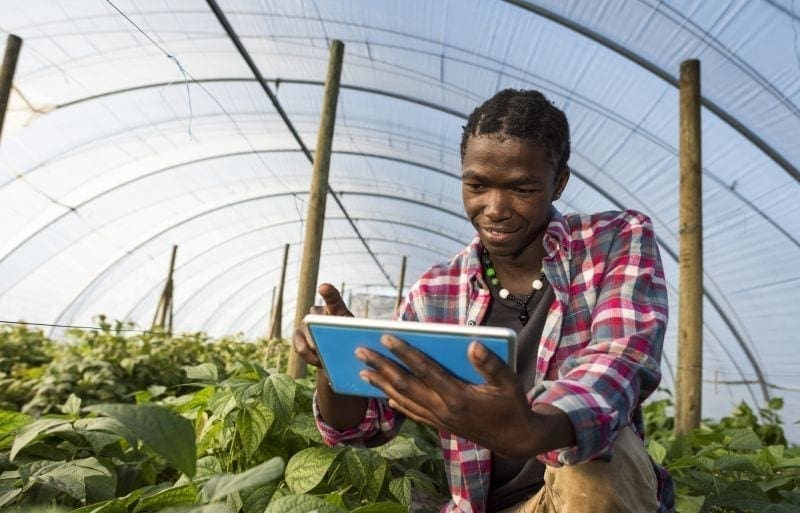 Impact investment firm collaborates with Kenya Investment Mechanism to finance agribusinesses