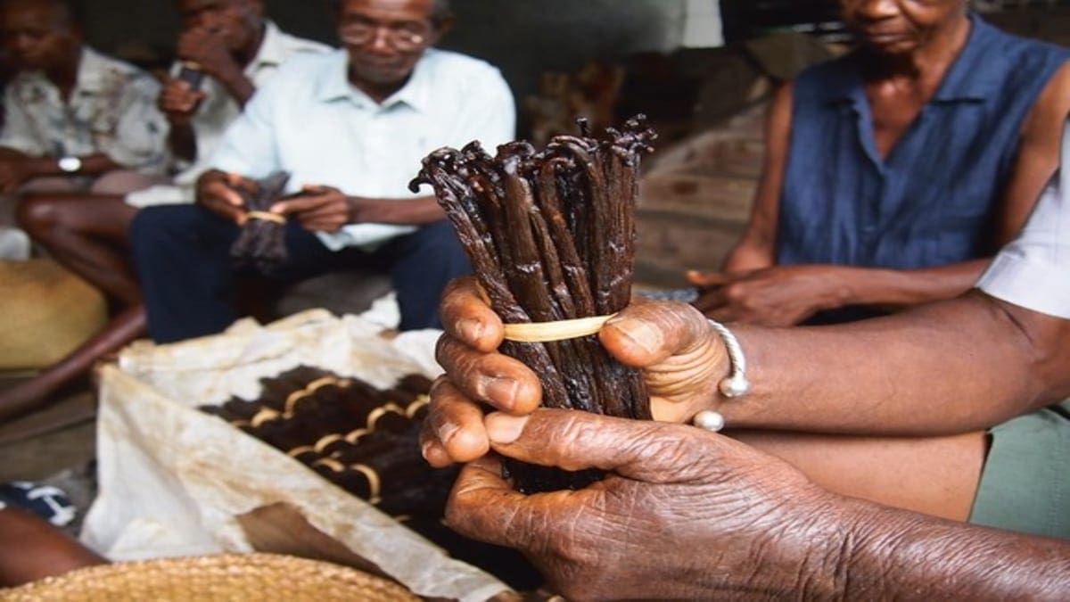 Symrise, Kellogg partner to achieve 100% responsibly sourced vanilla by 2020 in Madagascar