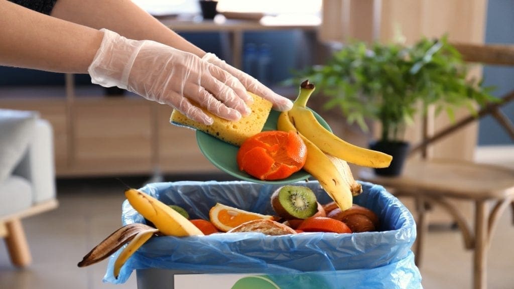 Australian government commits US$2.8m for creation of new body to drive food waste reduction