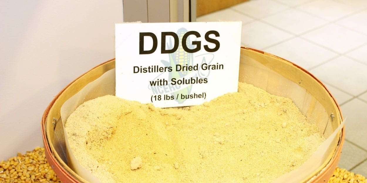 South Korea feed industry switch to distiller’s dried grains with solubles, increasing US exports