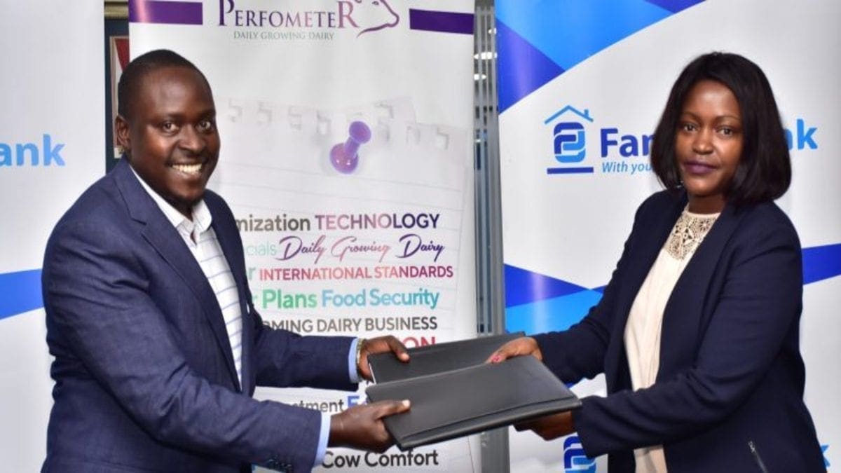 Kenyan Family Bank avails US$9.2m financing facility for fodder production to boost milk yield
