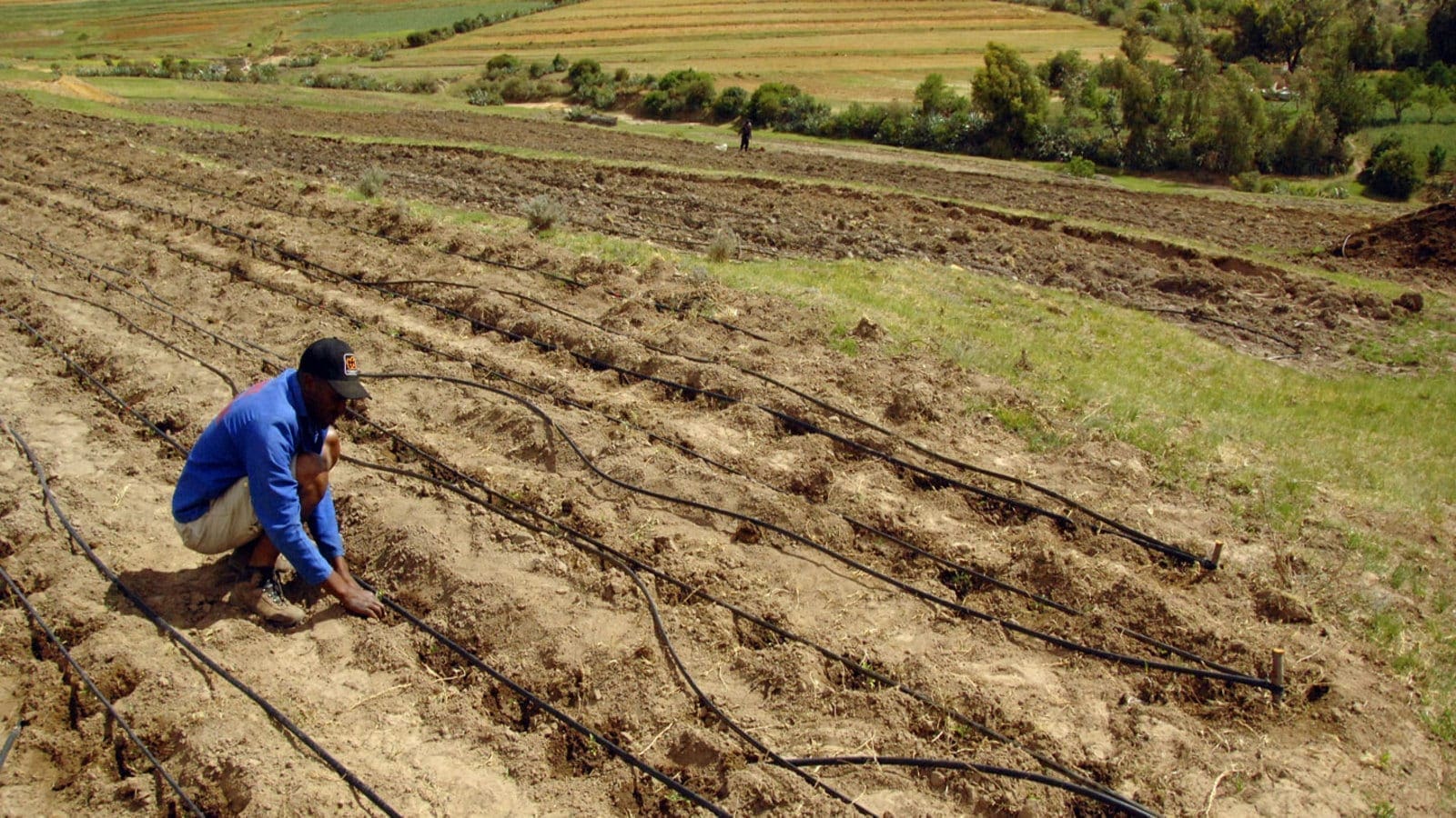 IFAD injects US$62m in Lesotho to boost food security through SADP II