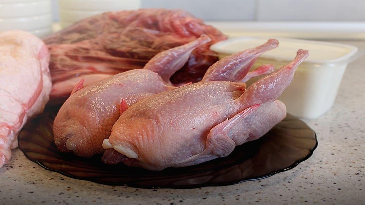 Brazil poised for continued poultry export growth despite bird flu concerns