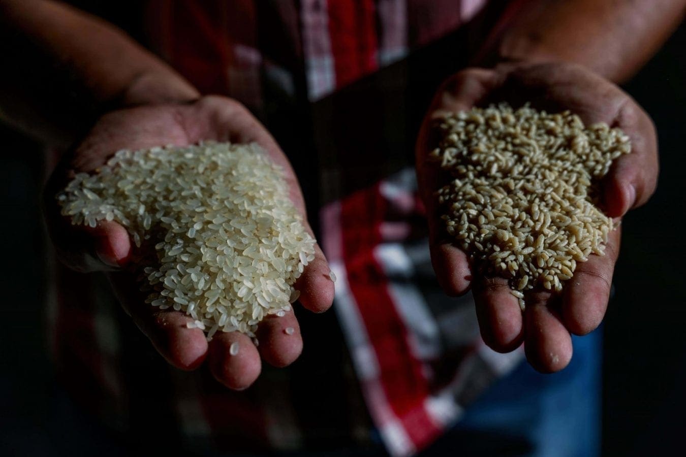 Bangladesh, WFP introduce subsidized fortified rice to curb malnutrition among low-income citizens