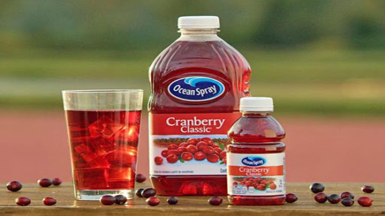 TerraCycle partners with Ocean Spray to advance its sustainable packaging strategy