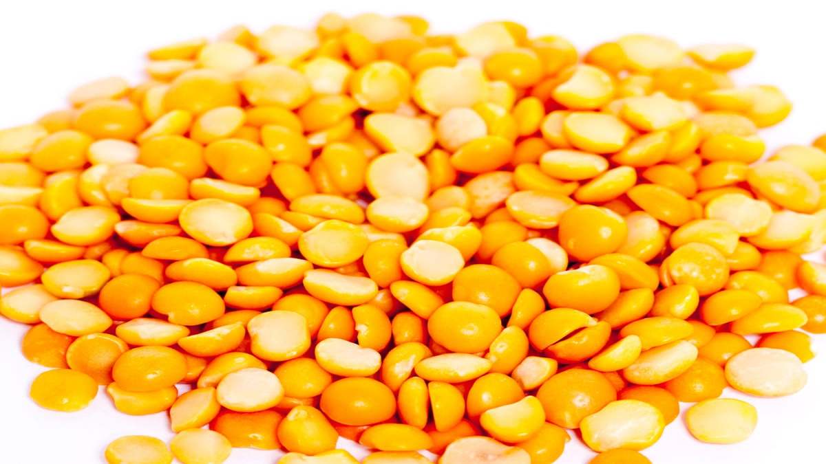 Demand for yellow pea proteins increase, anticipated to impact industry – FMI