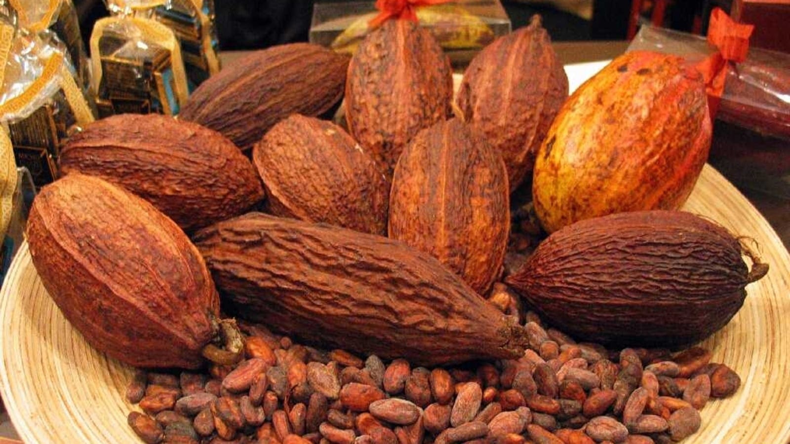 Ivory Coast to boost cocoa value-addition with new cocoa storage and processing complex