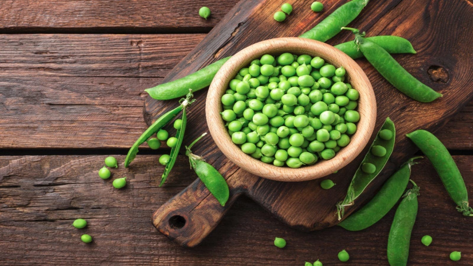 Roquette set to launch world’s largest pea protein plant in Canada