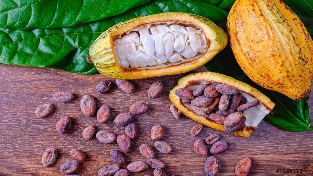 Ghana Cocoa Board rolls out online portal dubbed Cocoa Management ...