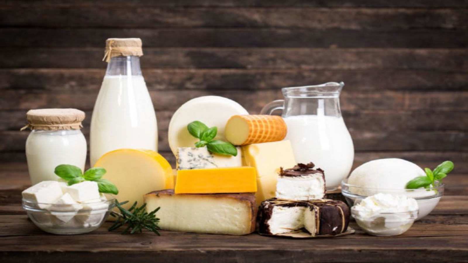 US Dairy Export Council CEO highlights global landscape for dairy alternatives, traditional dairy