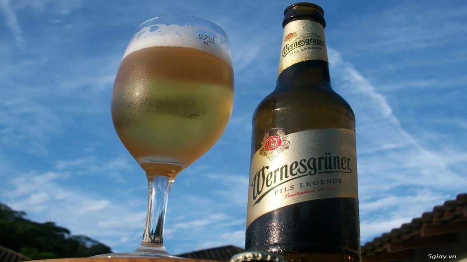Carlsberg set to acquire Germany’s most modern brewery Wernesgrüner Brewery