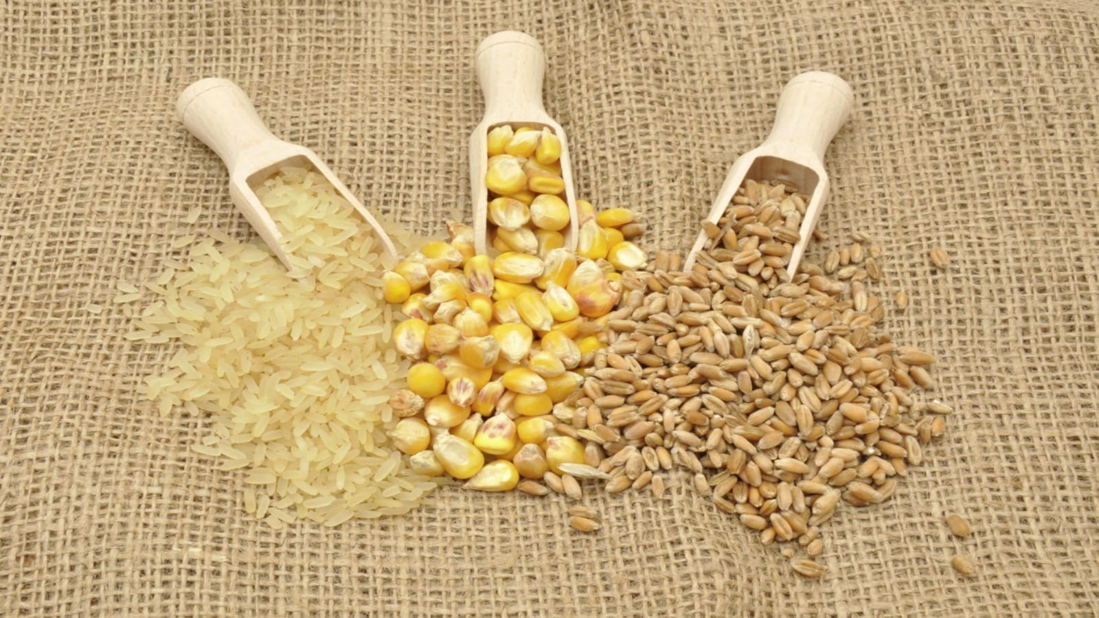 Nigeria to continue relying on grain imports despite imposed restrictions