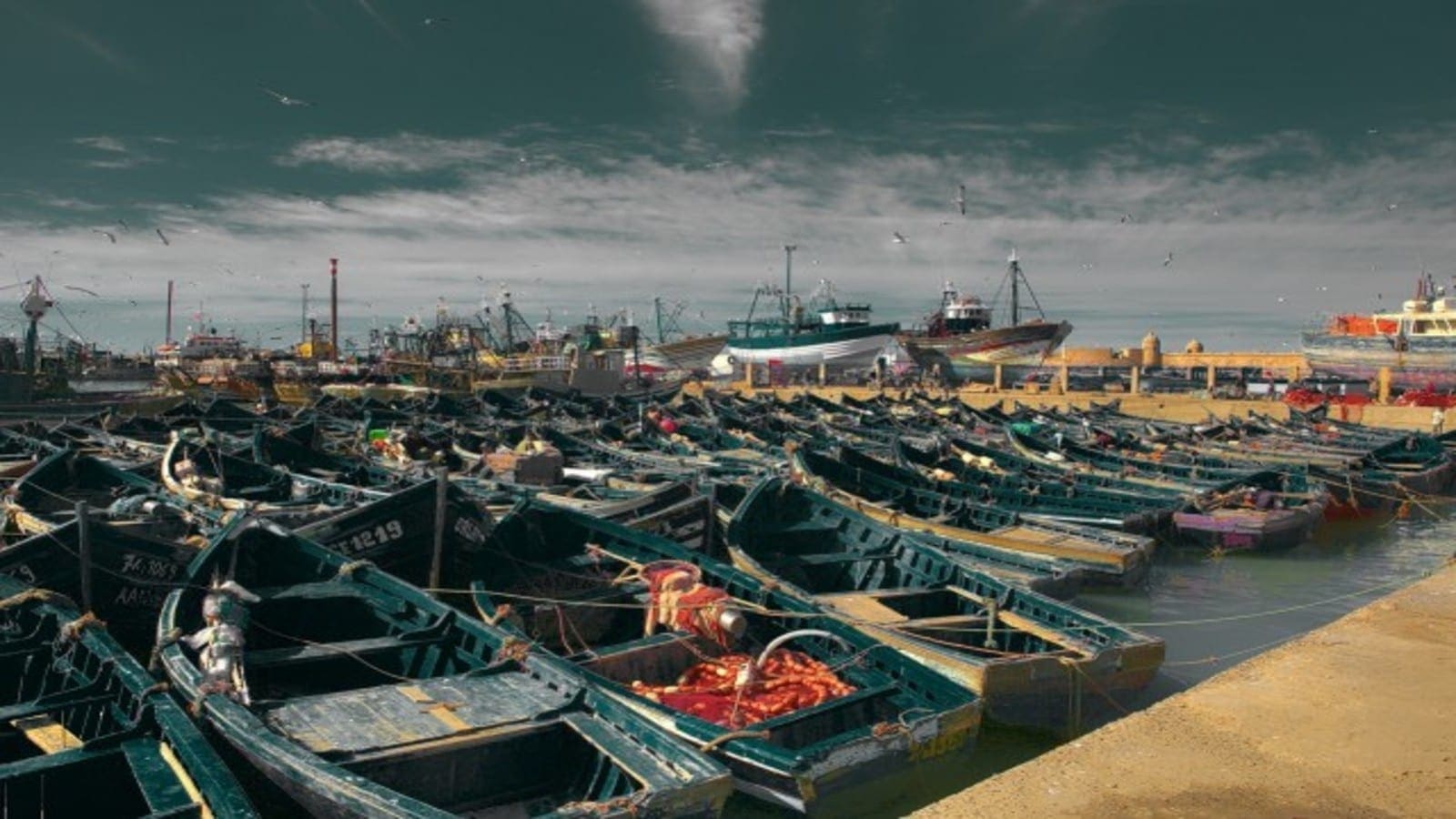 Morocco allows Russian fishing vessels to operate in its waters in new legal framework