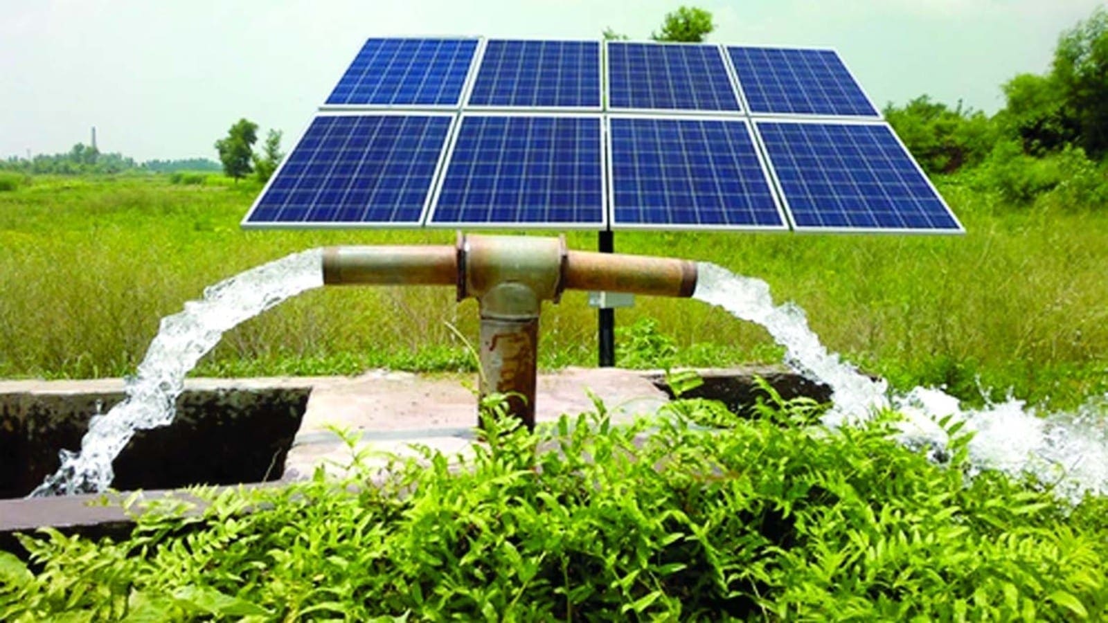 IFC partners Agricultural bank of Egypt to help farmers access financing for solar irrigation