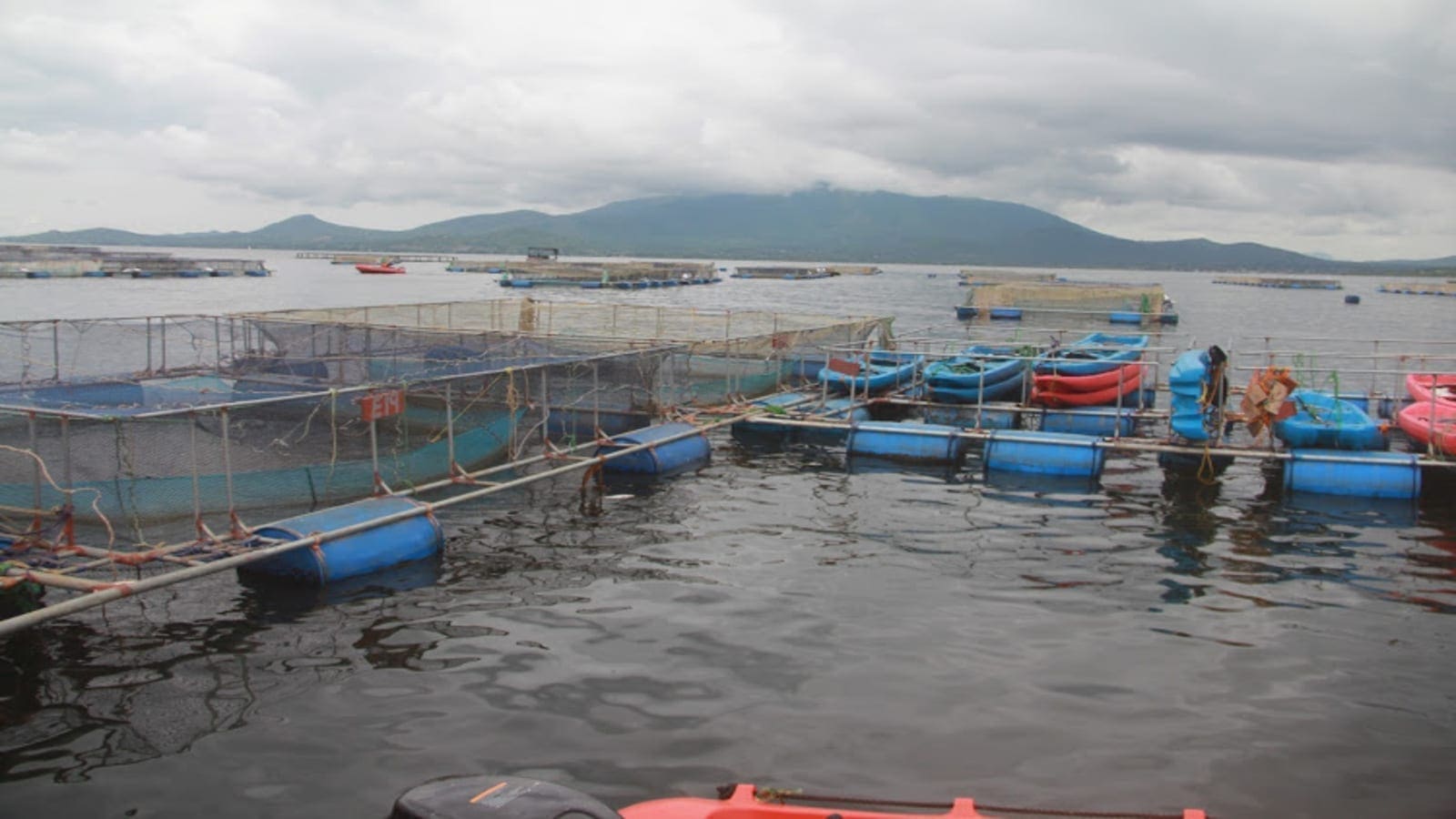 Kenyan based aquaculture business Victory Farms gets backing from Impact investor DOB Equity