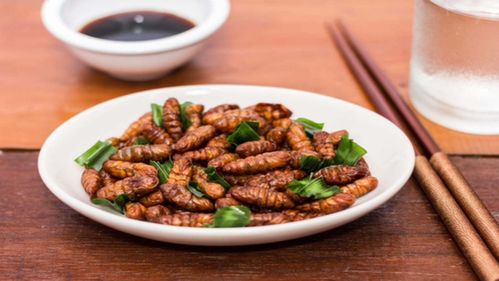 ValuSect unveils program to support European bug businesses amid rising demand for insect foods