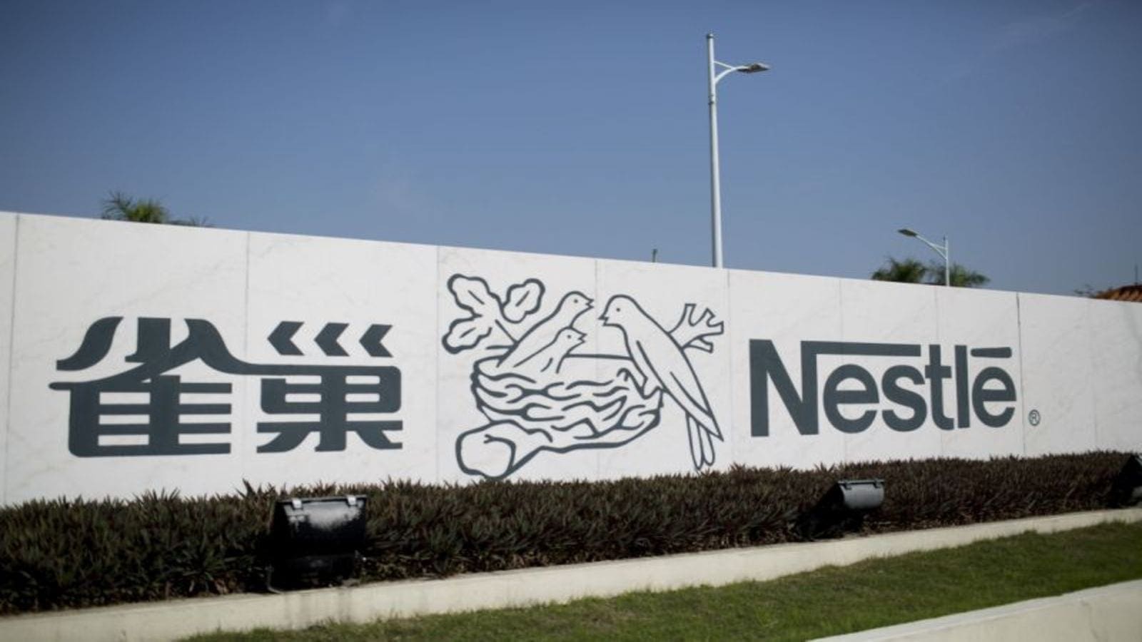 Food Wise to reclaim Yinlu peanut milk and canned rice porridge business from Nestlé