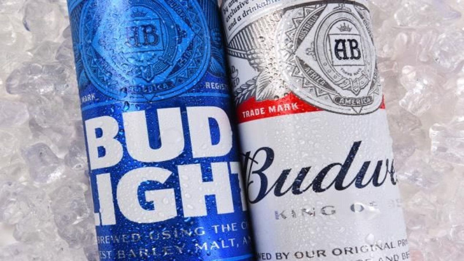 Brewing giant AB InBev to sell stake in U.S. metal container plants for US$3B