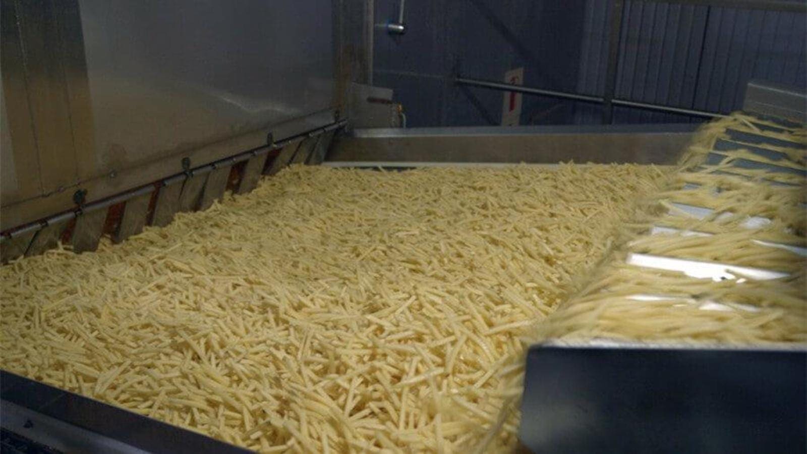 Simplifine eyes bullish frozen foods segment with launch of new fries processing line
