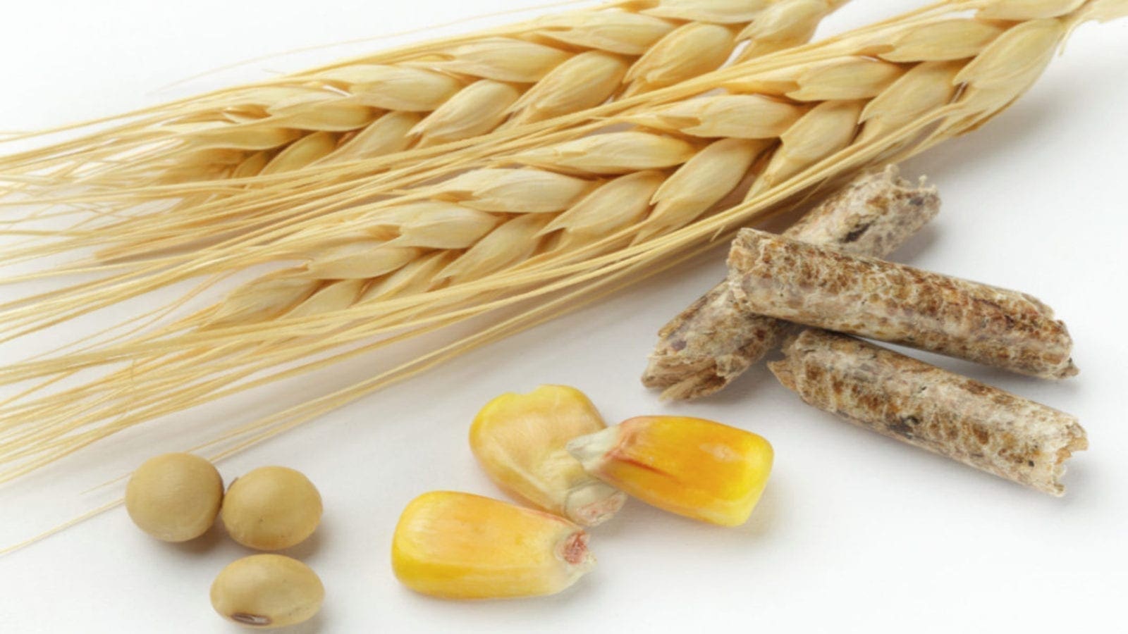UK joins the International Grain Council after exiting the European Union