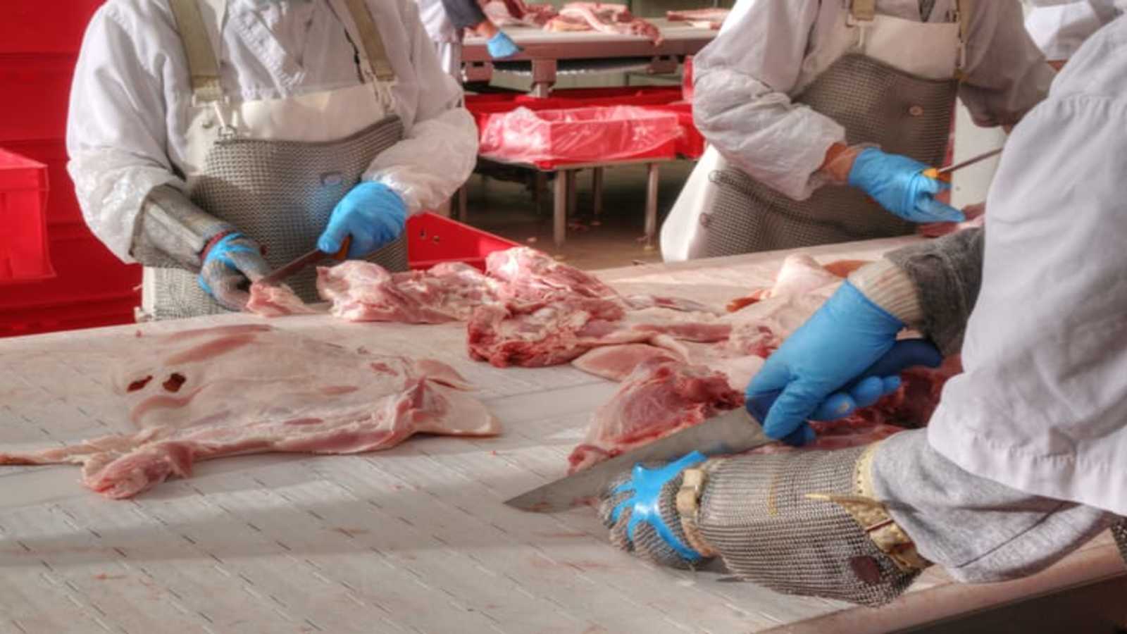 Thumbnail for JBS to increase exports to china following lifting of ban on two JBS meat plants