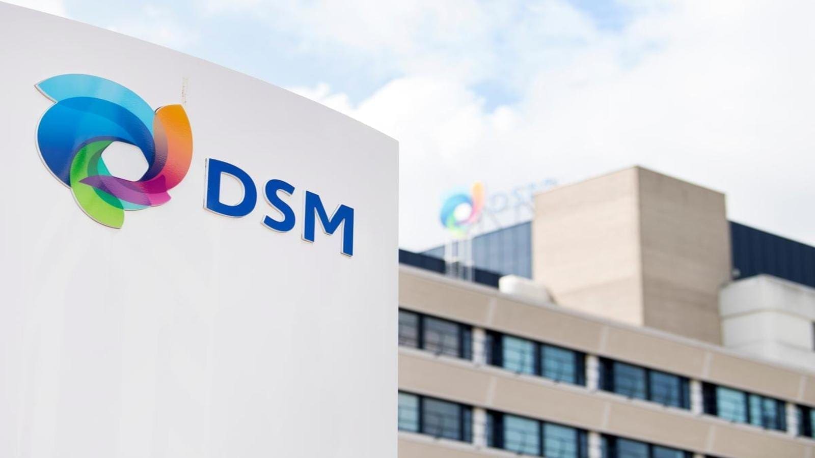 DSM upcycles canola meal into high quality protein isolate for use in plant-based foods and beverages</strong>