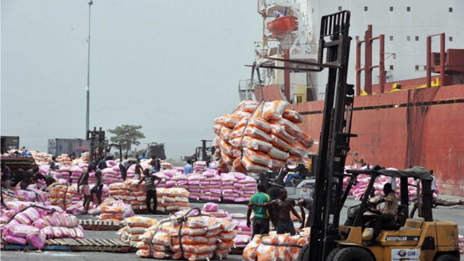 Nigeria still depends on food imports despite border closures, halting forex provision