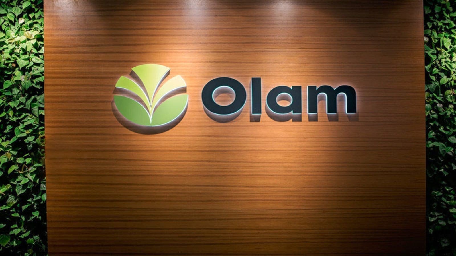 Olam’s 2020 annual report, a reflection of a company committed to sustainable growth
