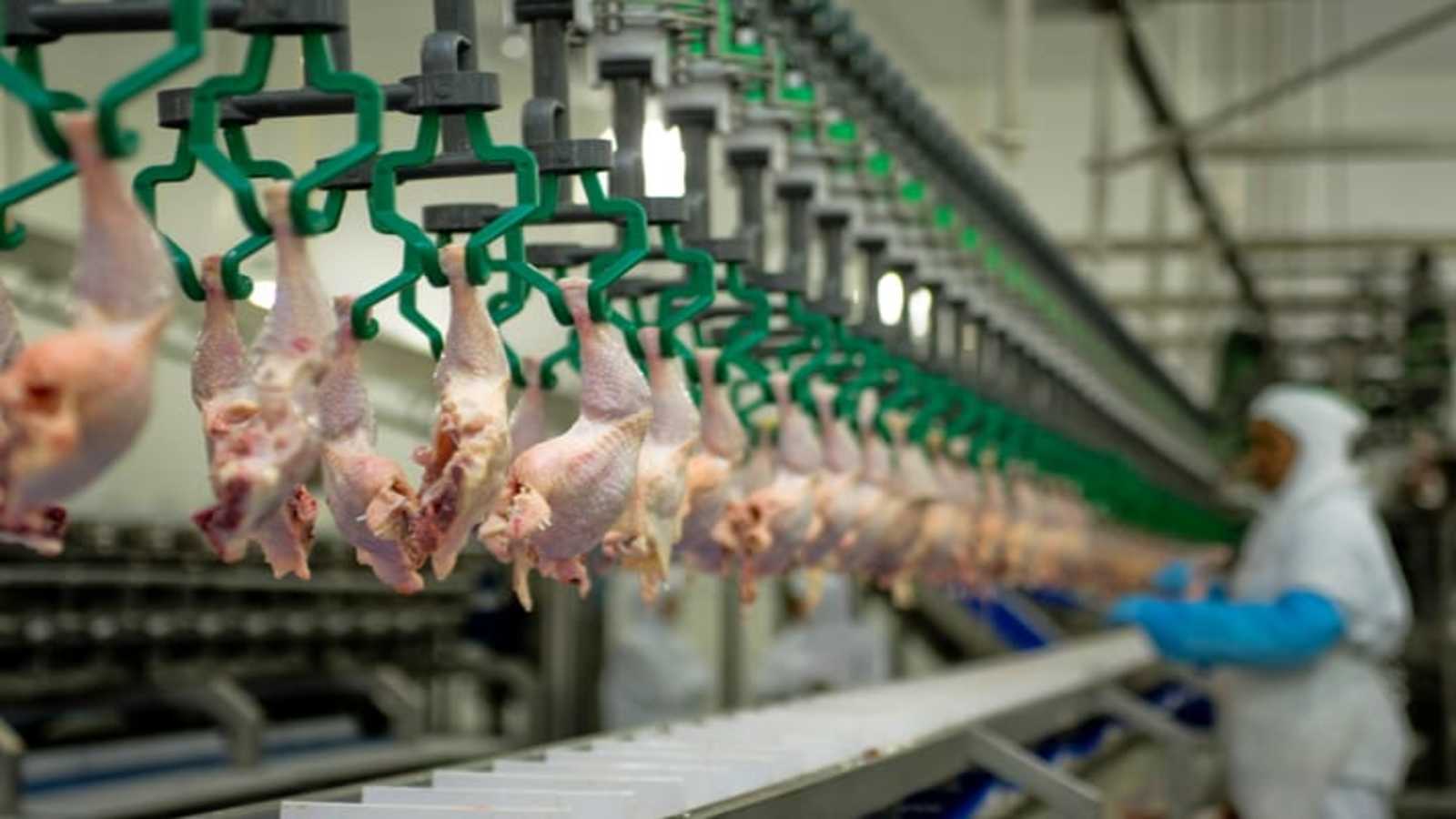 US revokes rule to permanently increase poultry slaughtering speeds