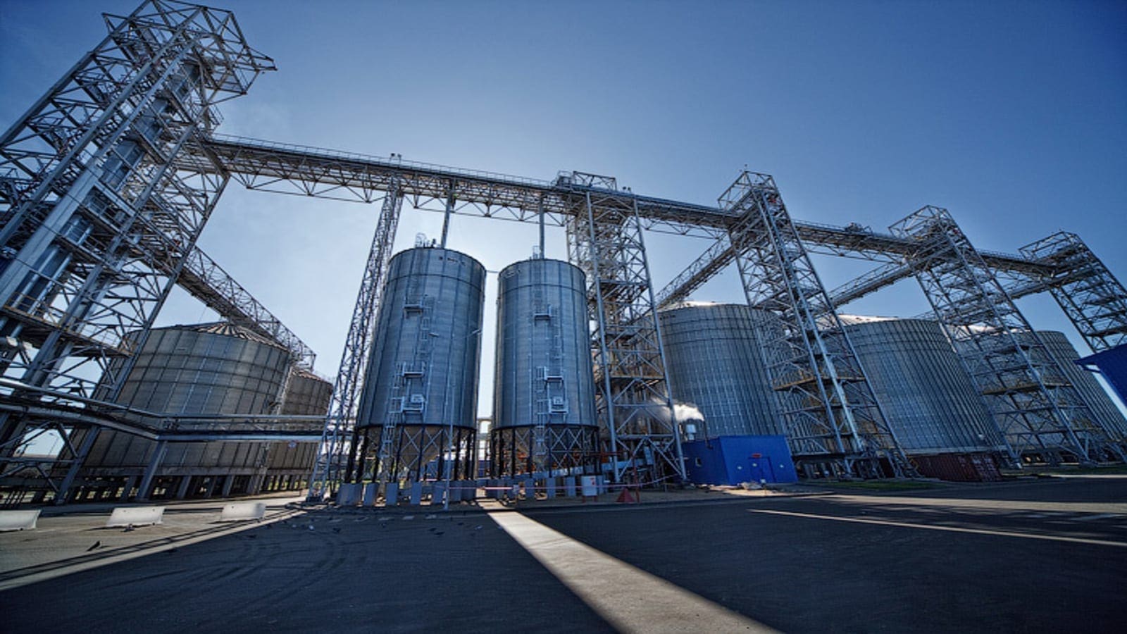 Bunge offloads grain terminal in Russia as biscuit maker Lotus achieves full control of Italian joint venture